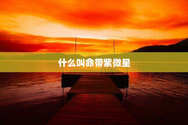 什么叫命带紫微星
