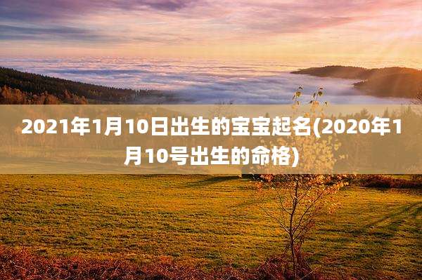 2021年1月10日出生的宝宝起名(2020年1月10号出生的命格)