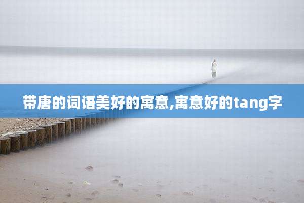带唐的词语美好的寓意,寓意好的tang字