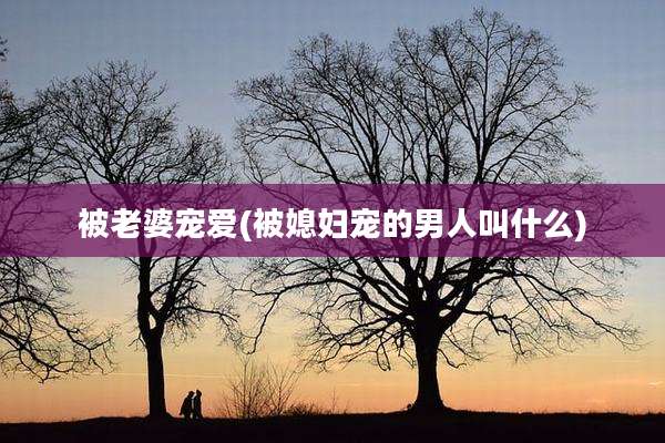 被老婆宠爱(被媳妇宠的男人叫什么)