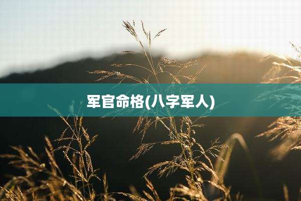 军官命格(八字军人)