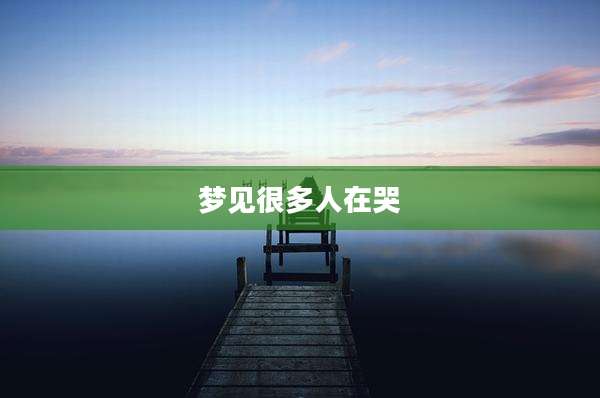 梦见很多人在哭