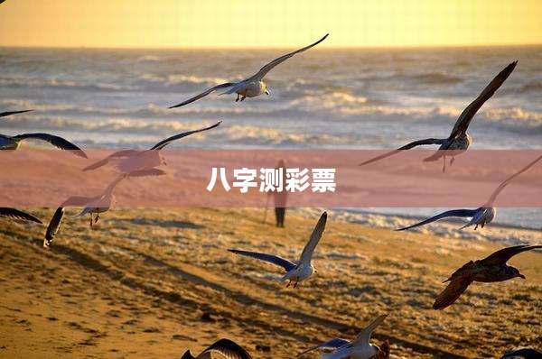 八字测彩票