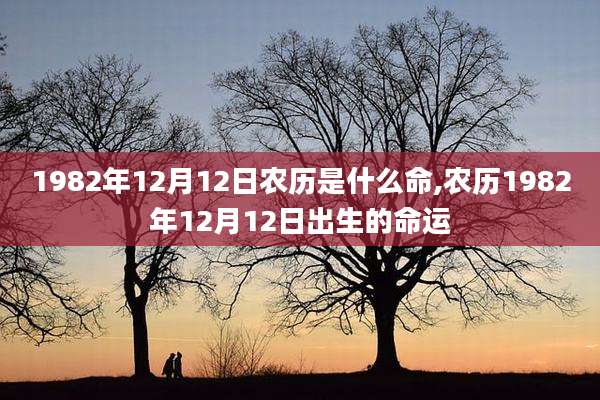 1982年12月12日农历是什么命,农历1982年12月12日出生的命运