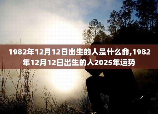 1982年12月12日出生的人是什么命,1982年12月12日出生的人2025年运势