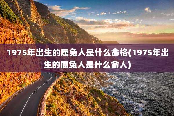1975年出生的属兔人是什么命格(1975年出生的属兔人是什么命人)