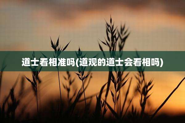 道士看相准吗(道观的道士会看相吗)