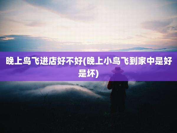 晚上鸟飞进店好不好(晚上小鸟飞到家中是好是坏)