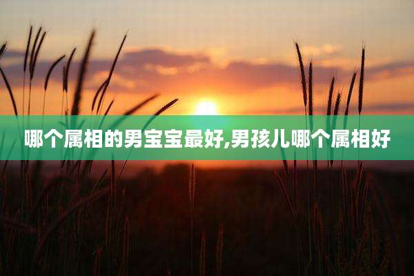 哪个属相的男宝宝最好,男孩儿哪个属相好