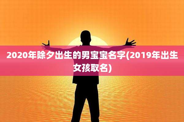 2020年除夕出生的男宝宝名字(2019年出生女孩取名)