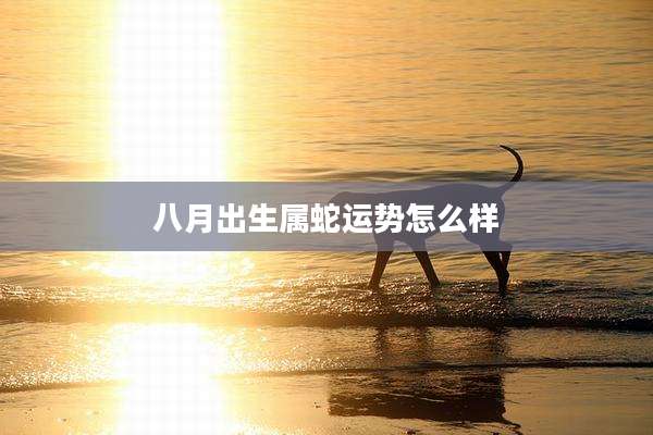 八月出生属蛇运势怎么样