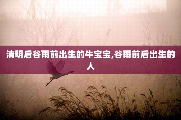 清明后谷雨前出生的牛宝宝,谷雨前后出生的人