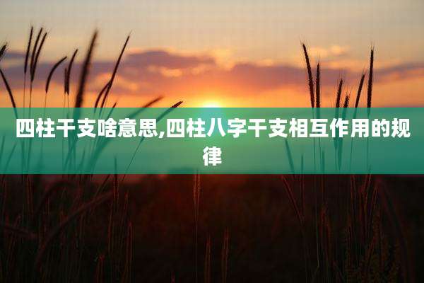 四柱干支啥意思,四柱八字干支相互作用的规律