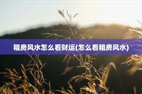 租房风水怎么看财运(怎么看租房风水)