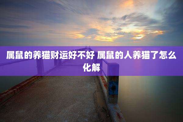 属鼠的养猫财运好不好 属鼠的人养猫了怎么化解