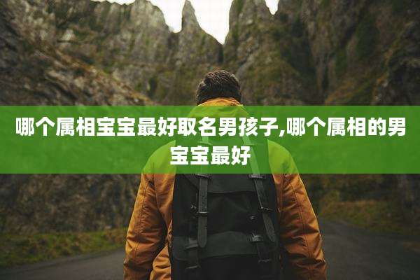 哪个属相宝宝最好取名男孩子,哪个属相的男宝宝最好