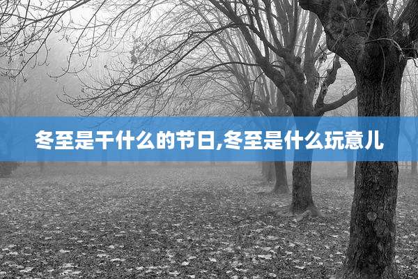 冬至是干什么的节日,冬至是什么玩意儿