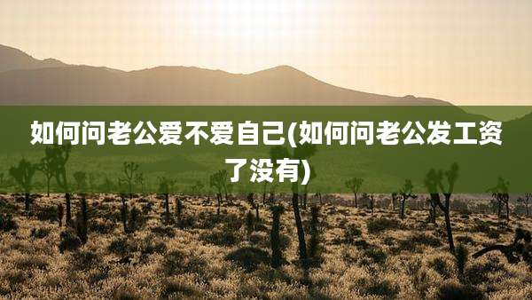 如何问老公爱不爱自己(如何问老公发工资了没有)