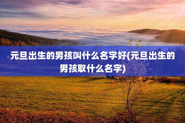 元旦出生的男孩叫什么名字好(元旦出生的男孩取什么名字)
