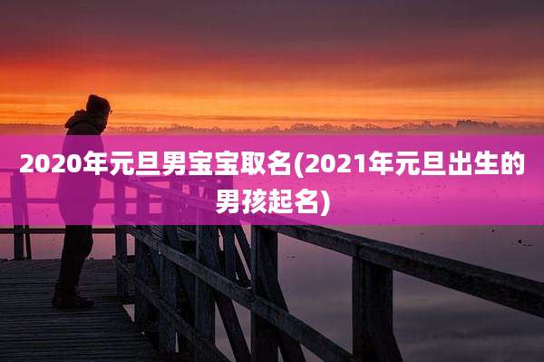 2020年元旦男宝宝取名(2021年元旦出生的男孩起名)