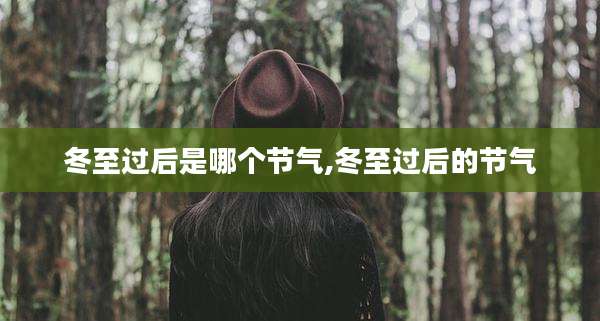冬至过后是哪个节气,冬至过后的节气