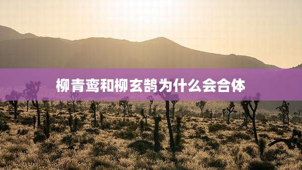 柳青鸾和柳玄鹄为什么会合体