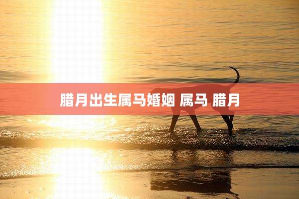 腊月出生属马婚姻 属马 腊月