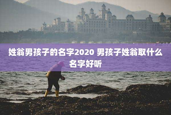 姓翁男孩子的名字2020 男孩子姓翁取什么名字好听