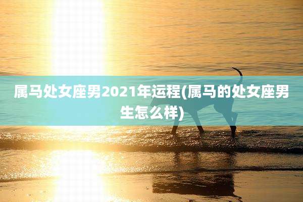 属马处女座男2021年运程(属马的处女座男生怎么样)