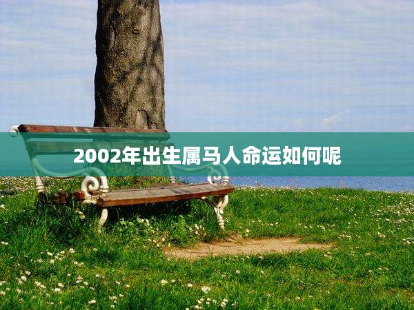 2002年出生属马人命运如何呢