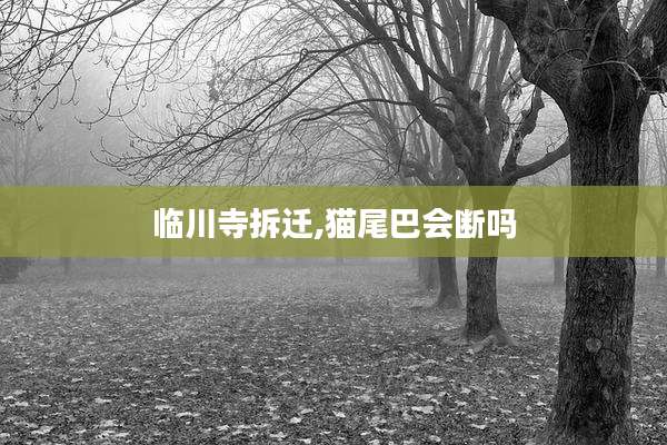 临川寺拆迁,猫尾巴会断吗
