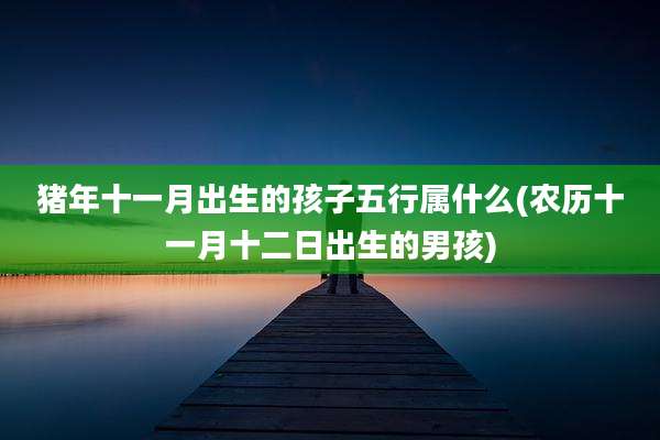 猪年十一月出生的孩子五行属什么(农历十一月十二日出生的男孩)