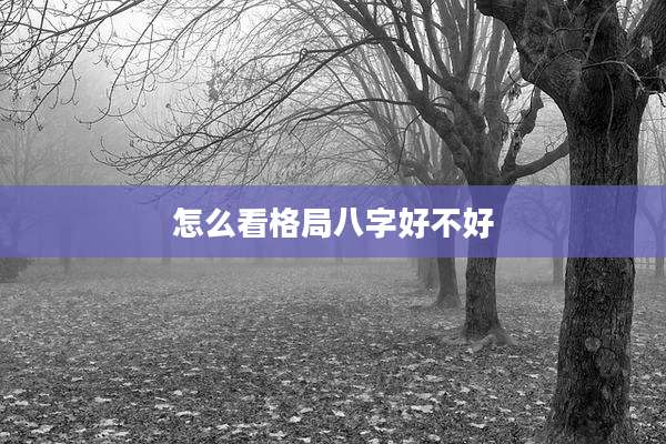 怎么看格局八字好不好