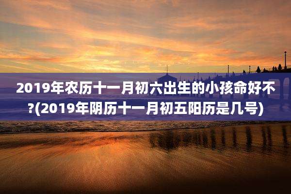 2019年农历十一月初六出生的小孩命好不?(2019年阴历十一月初五阳历是几号)