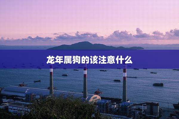 龙年属狗的该注意什么