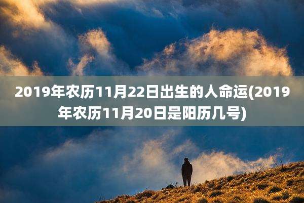 2019年农历11月22日出生的人命运(2019年农历11月20日是阳历几号)