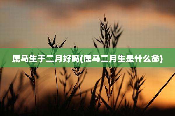 属马生于二月好吗(属马二月生是什么命)