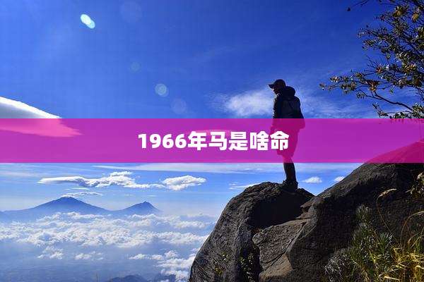 1966年马是啥命