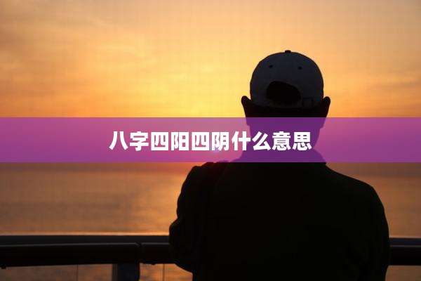 八字四阳四阴什么意思