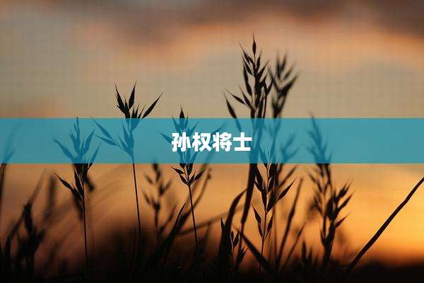 孙权将士