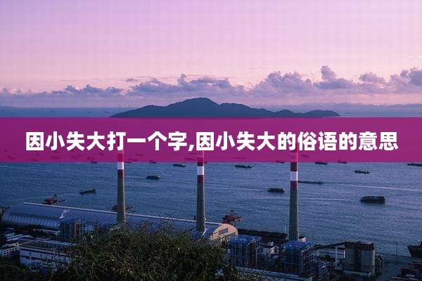因小失大打一个字,因小失大的俗语的意思