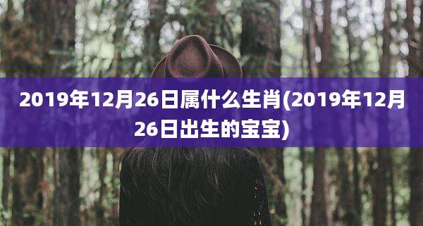 2019年12月26日属什么生肖(2019年12月26日出生的宝宝)