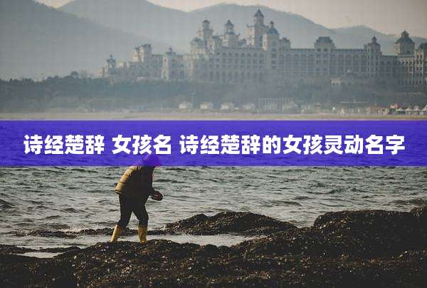 诗经楚辞 女孩名 诗经楚辞的女孩灵动名字