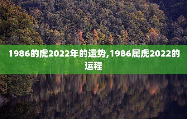 1986的虎2022年的运势,1986属虎2022的运程