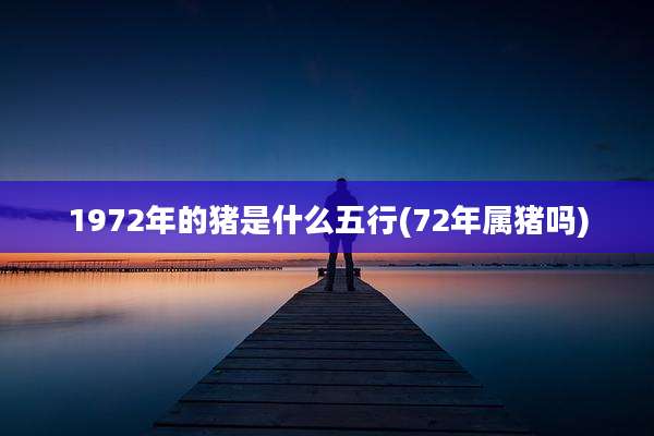 1972年的猪是什么五行(72年属猪吗)