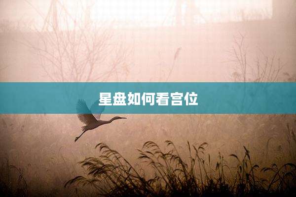 星盘如何看宫位