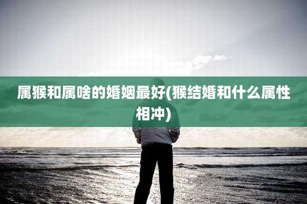 属猴和属啥的婚姻最好(猴结婚和什么属性相冲)
