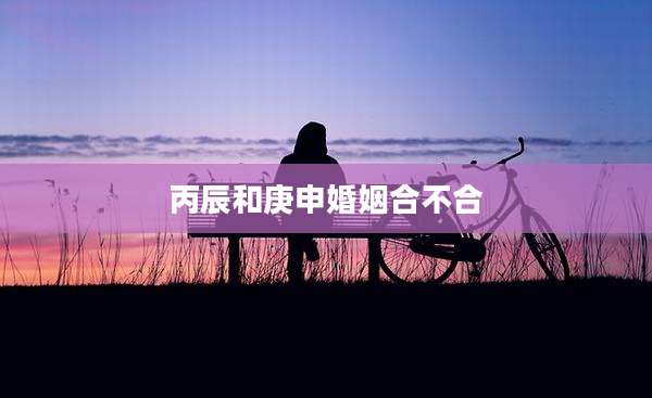 丙辰和庚申婚姻合不合