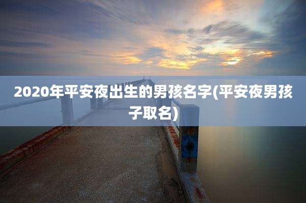 2020年平安夜出生的男孩名字(平安夜男孩子取名)