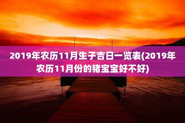 2019年农历11月生子吉日一览表(2019年农历11月份的猪宝宝好不好)